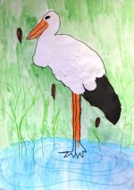 Pavlíková Sofia.jpg